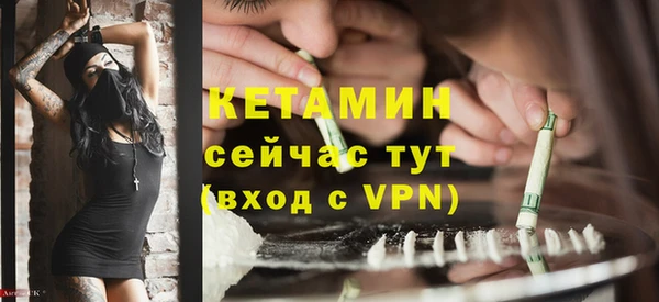 дмт Бородино