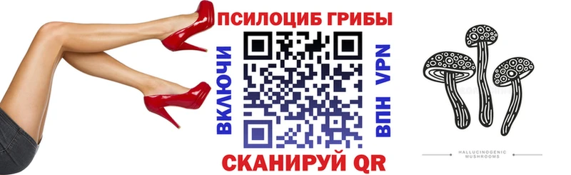 Псилоцибиновые грибы GOLDEN TEACHER  Княгинино 